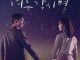 Download Drama Korea Where Stars Land Subtitle Indonesia